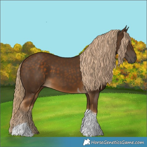 Horse Color:Chocolate Palomino Tobiano 