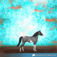 Horse Color:Liver Red Roan Splash Tobiano 