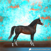 Horse Color:Brown Splash