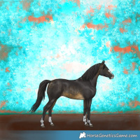 Horse Color:Buckskin 