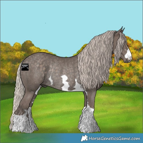 Horse Color:Silver Black Rabicano 