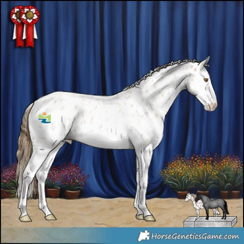 Horse Color:Classic Cream Champagne Roan Splash Appaloosa 
