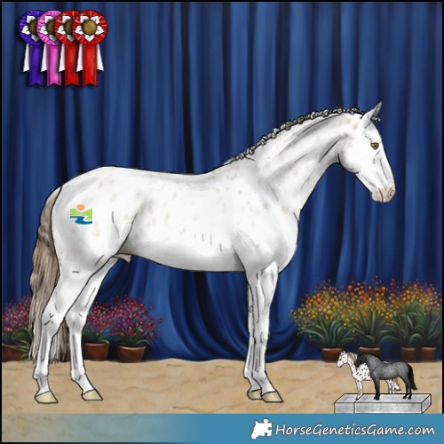 Horse Color:Classic Cream Champagne Roan Splash Appaloosa