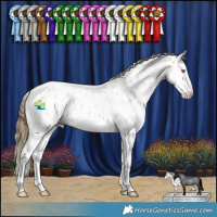Horse Color:Classic Cream Champagne Roan Splash Leopard 