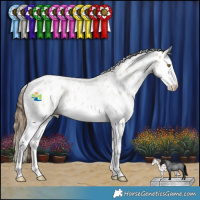 Horse Color:Classic Cream Champagne Roan Splash Appaloosa