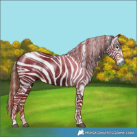 Horse Color:Gray Liver Chestnut Tobiano