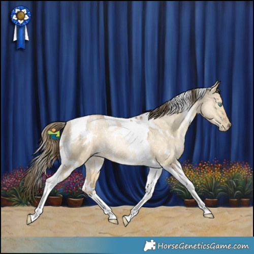 Horse Color:White Spotted Buckskin Snowdrop Dun Tobiano Rabicano 
