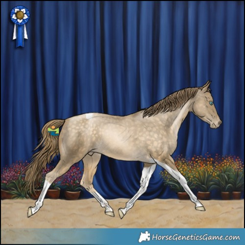 Horse Color:Buckskin Snowdrop Tobiano Appaloosa 
