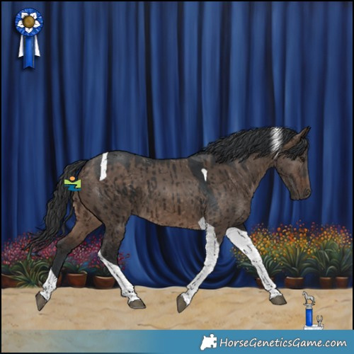 Horse Color:Brown Dun Tobiano Brindle 