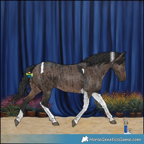 Horse Color:Brown Dun Tobiano Brindle 