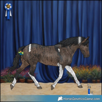 Horse Color:Brown Dun Tobiano Brindle