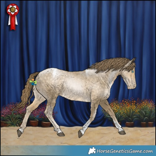 Horse Color:Buckskin Pearl Tobiano Appaloosa