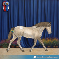 Horse Color:White Spotted Buckskin Snowdrop Varnish