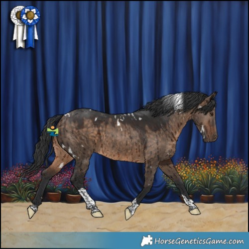 Horse Color:White Spotted Brown Dun Tobiano Brindle 
