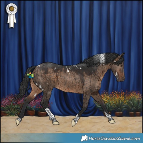 Horse Color:White Spotted Brown Dun Tobiano Brindle