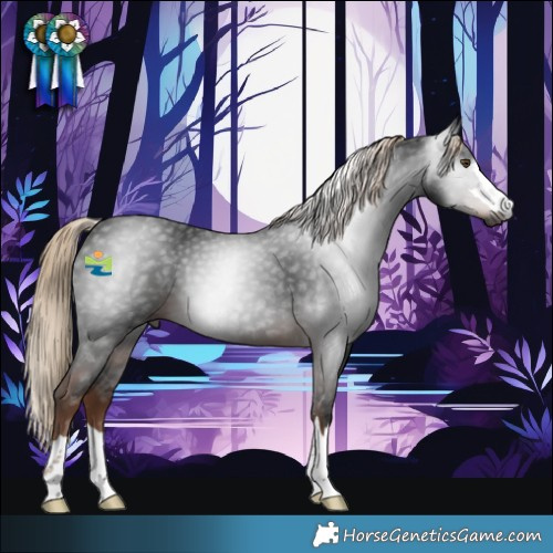 Horse Color:Gray Liver Chestnut 