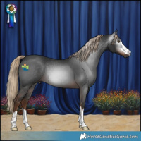 Horse Color:Gray Liver Chestnut 