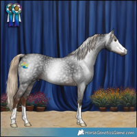 Horse Color:Gray Liver Chestnut 