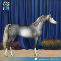 Horse Color:Gray Liver Chestnut 