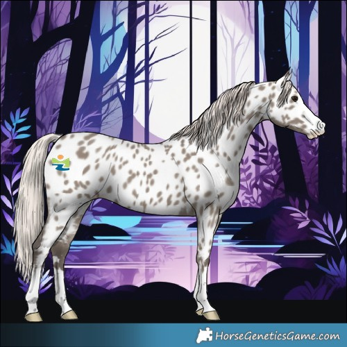 Horse Color:Silver Grullo Near Leopard 