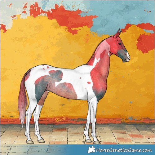 Horse Color:Watercolor Brown Tobiano Rabicano 