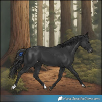 Horse Color:Black Varnish 