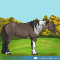 Horse Color:Brown Dun Tobiano Varnish 