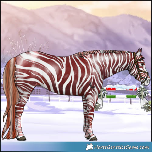 Horse Color:Liver Chestnut Tobiano Appaloosa