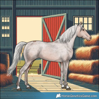 Horse Color:Silver Bay Blanket 