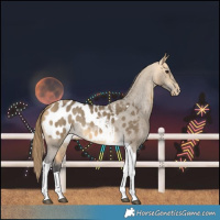 Horse Color:Buckskin Dun Tobiano Blanket 