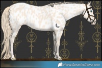 Horse Color:Perlino Near Leopard 
