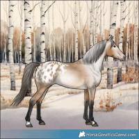 Horse Color:Gray Buckskin Blanket 