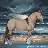 Horse Color:White Spotted Liver Red Dun Tobiano 