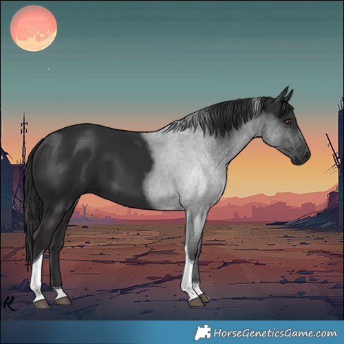 Horse Color:Liver Chestnut Tobiano 