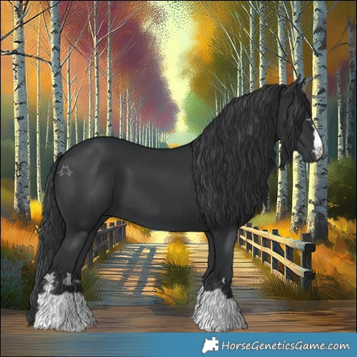 Horse Color:Black 