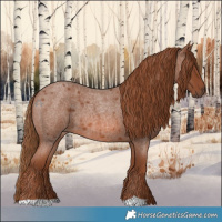 Horse Color:Red Roan 