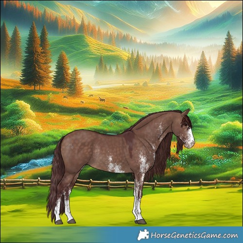 Horse Color:White Spotted Chocolate Brown Dun Rabicano 