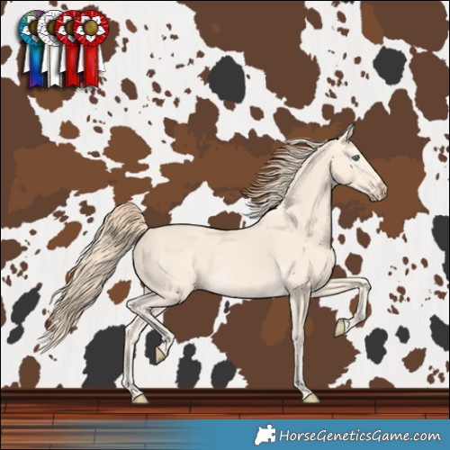Horse Color:Perlino 