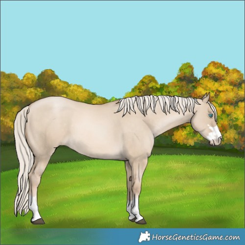 Horse Color:Liver Red Dun Snowdrop Pearl 