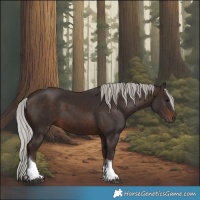 Horse Color:Silver Brown Tobiano 