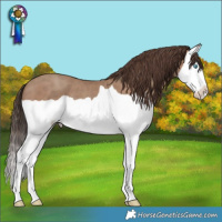 Horse Color:Classic Champagne Splash 