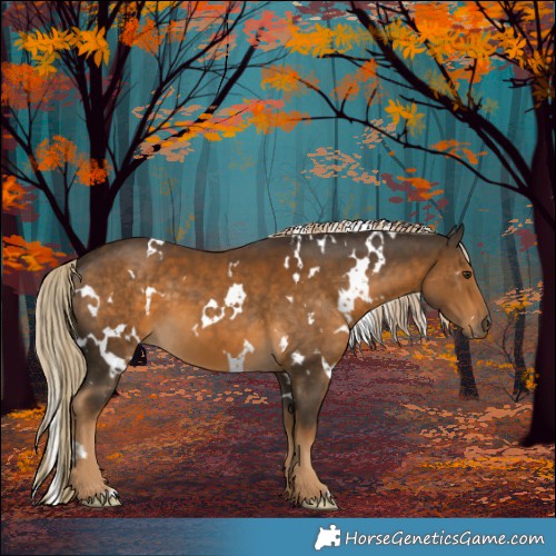 Horse Color:White Spotted Chocolate Palomino 