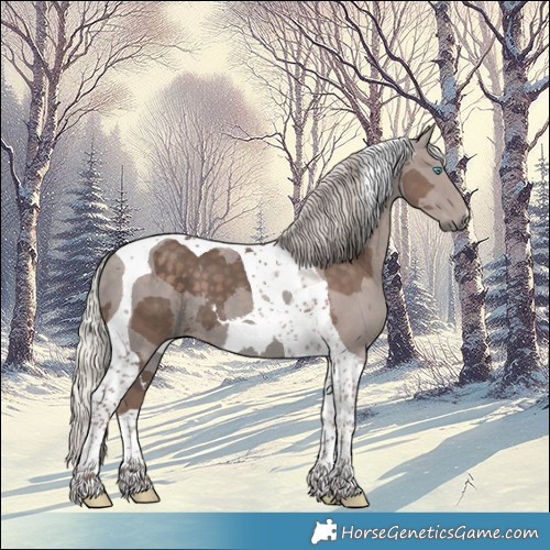 Horse Color:Silver Black Merle Tobiano 