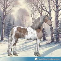 Horse Color:Silver Black Merle Tobiano 