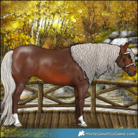 Horse Color:Silver Brown 