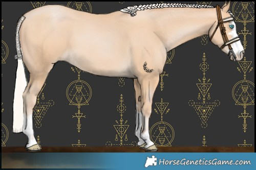 Horse Color:Silver Buckskin Pearl 