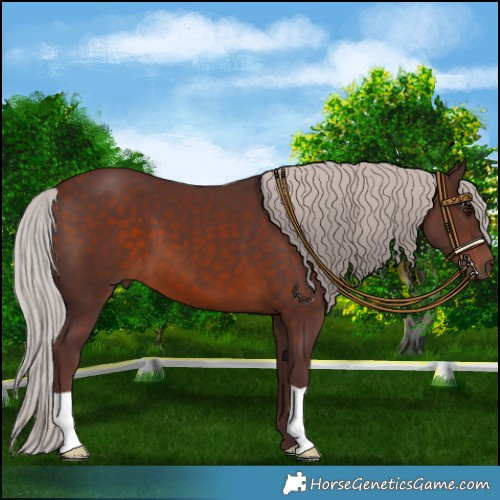 Horse Color:Chocolate Silver Brown 