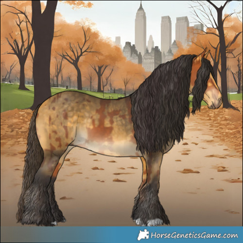 Horse Color:Bay and Buckskin