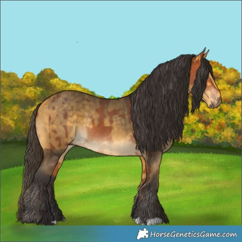 Horse Color:Bay  and Buckskin 