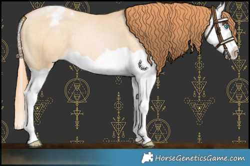 Horse Color:Buckskin Pearl Dun Splash Varnish 